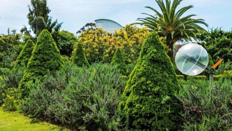 john woodham sculptor new zealand contemporary sculptor garden