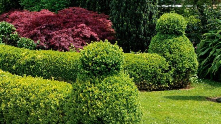 john woodham sculptor new zealand contemporary sculptor garden