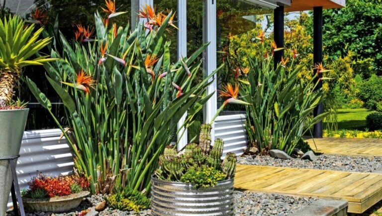 john woodham sculptor new zealand contemporary sculptor garden