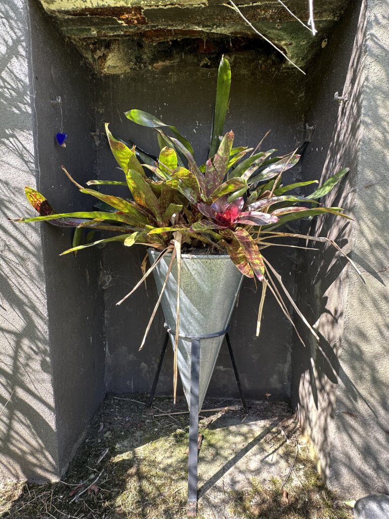 Cone pot plant