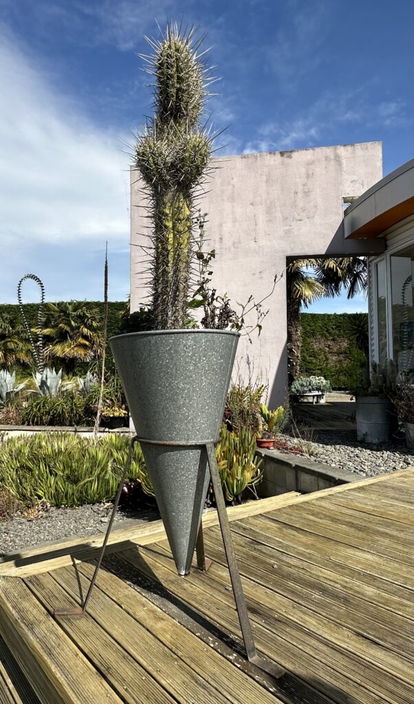Cone pot plant