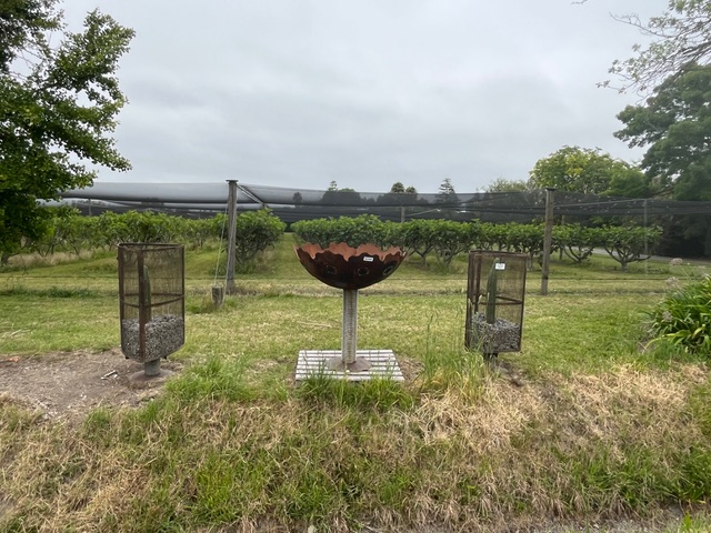 Gambion steel mesh planters $450 each 1.5m high Disk goblet $1500 1.4m high and 1.4 diameter